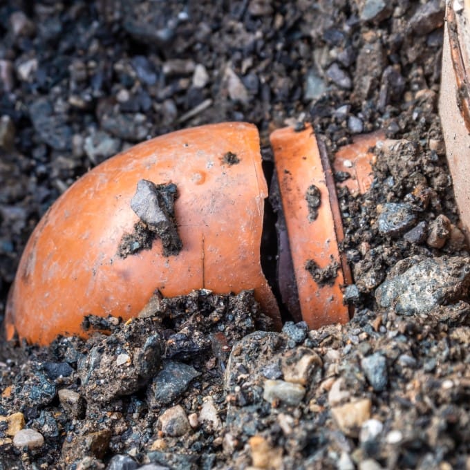 Broken Sewer Line